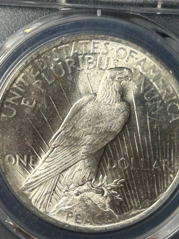 1924 PCGS MS64 PEACE DOLLAR CAC