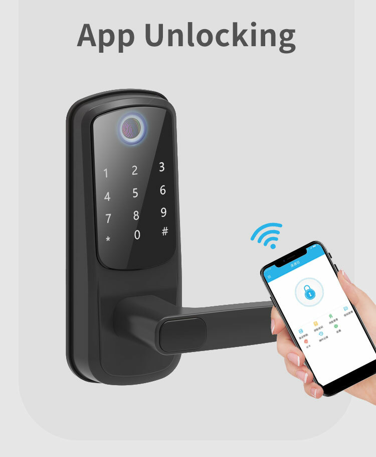 Smart Digital Door Lock, Electronic, Fingerprint, Password & Smartphone (VIDEO)