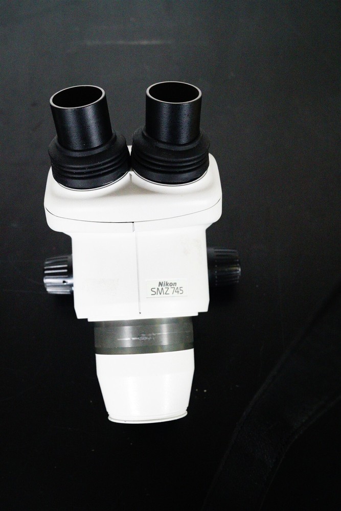 Nikon C-W10xB/22 Eyepieces (Pair)