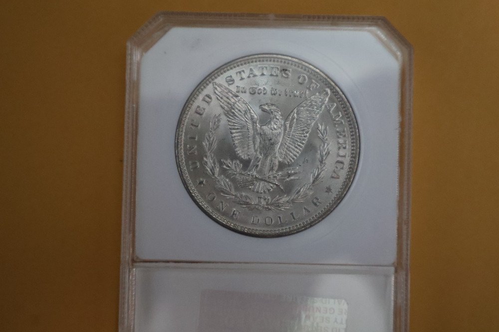 1889 MORGAN DOLLAR - TONING