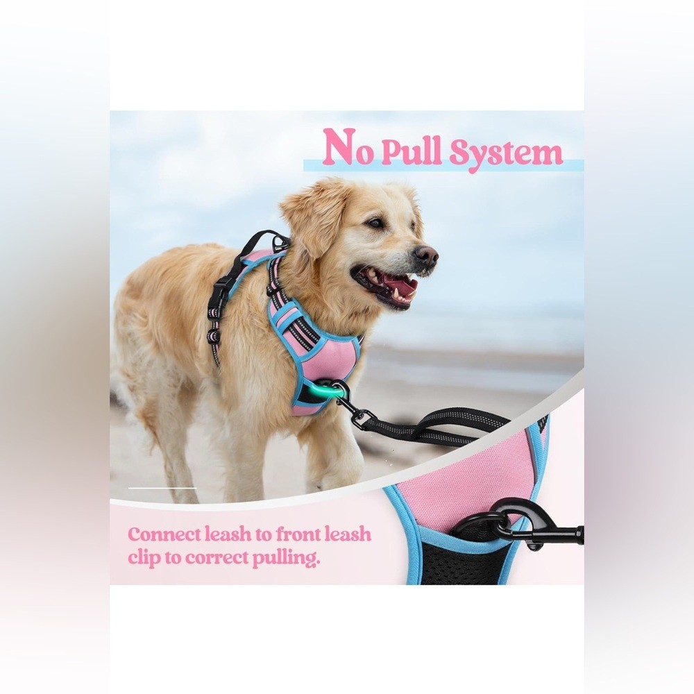 SIZE SMALL rabbitgoo® NEW Dog Harness No Pull with 2 Leash Clips, Adjustable