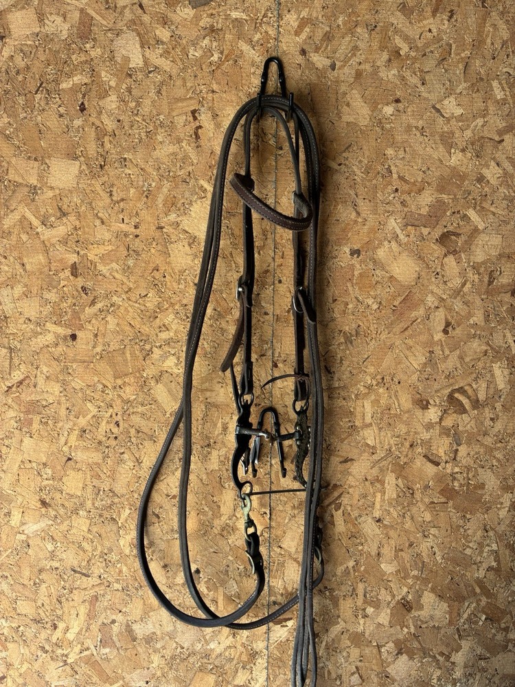Headstall, bit and heavy split reins