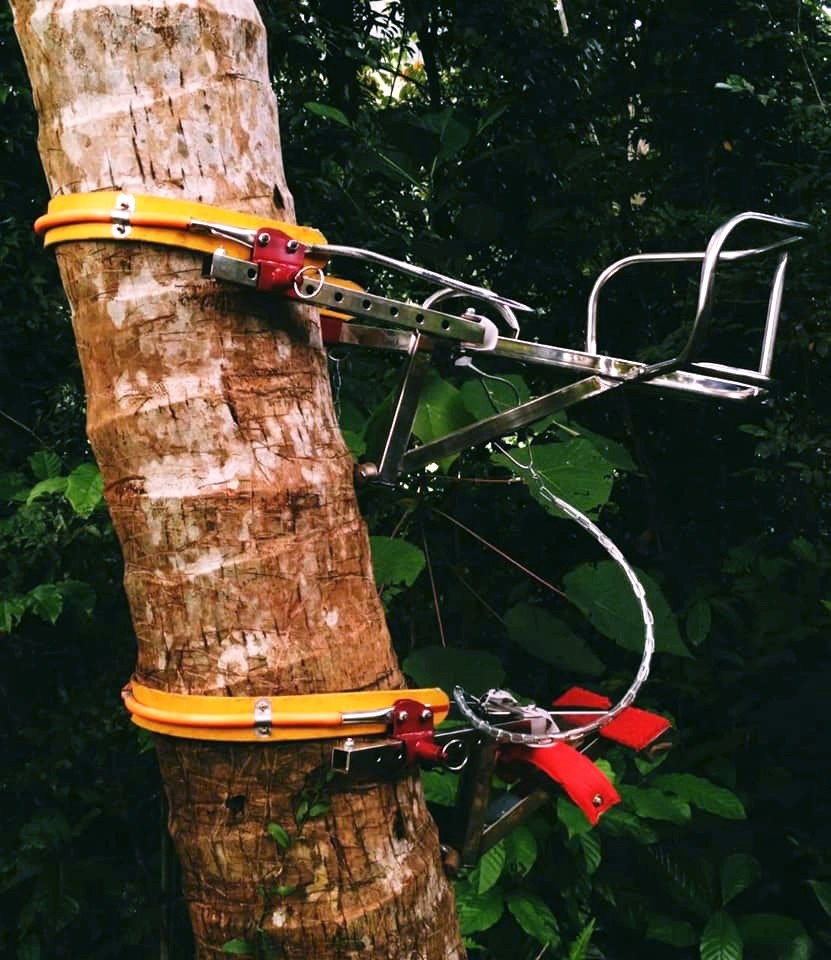EASY COCONUT TREE Climbing MACHINE TOOL with 100% SAFETY and HIGH QUALITY Quick