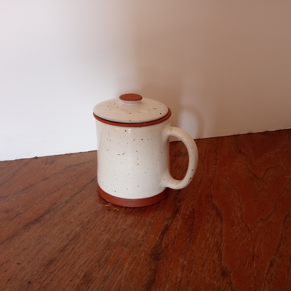 Beautiful Ceramic Tea Cup with Removable Infuser & Lid + Handle