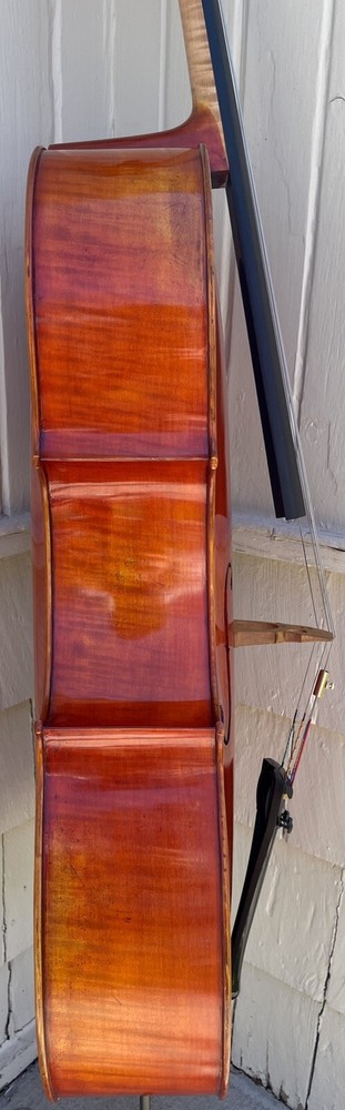 Frederich Wyss cello