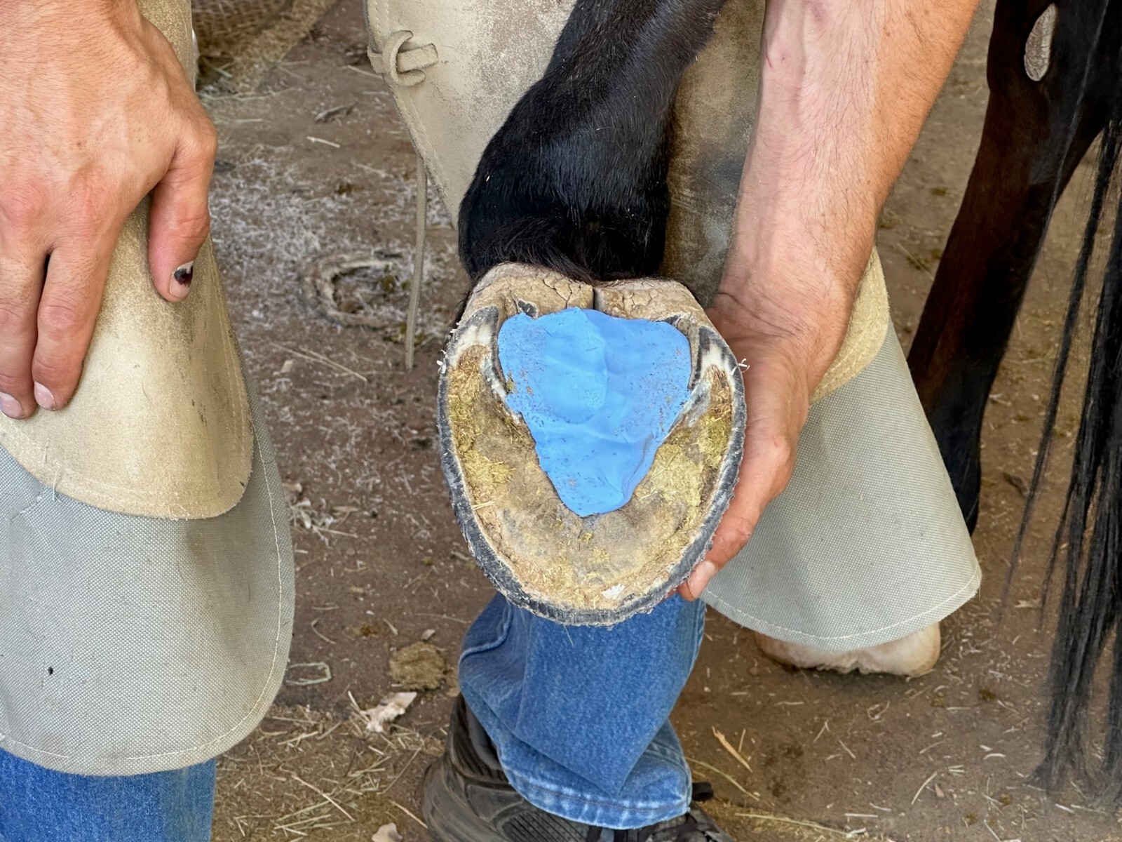 Cloud 9 Horse Hoof Silicone Putty, Medium Hardness, 3lb Pad & Impression