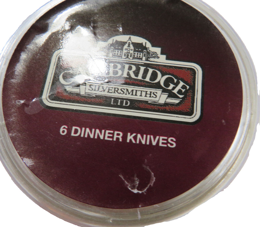 6 DINNER KNIVES CAMBRIDGE SILVERSMITHS STAINLESS STEEL FLATWARE AURORA PATTERN