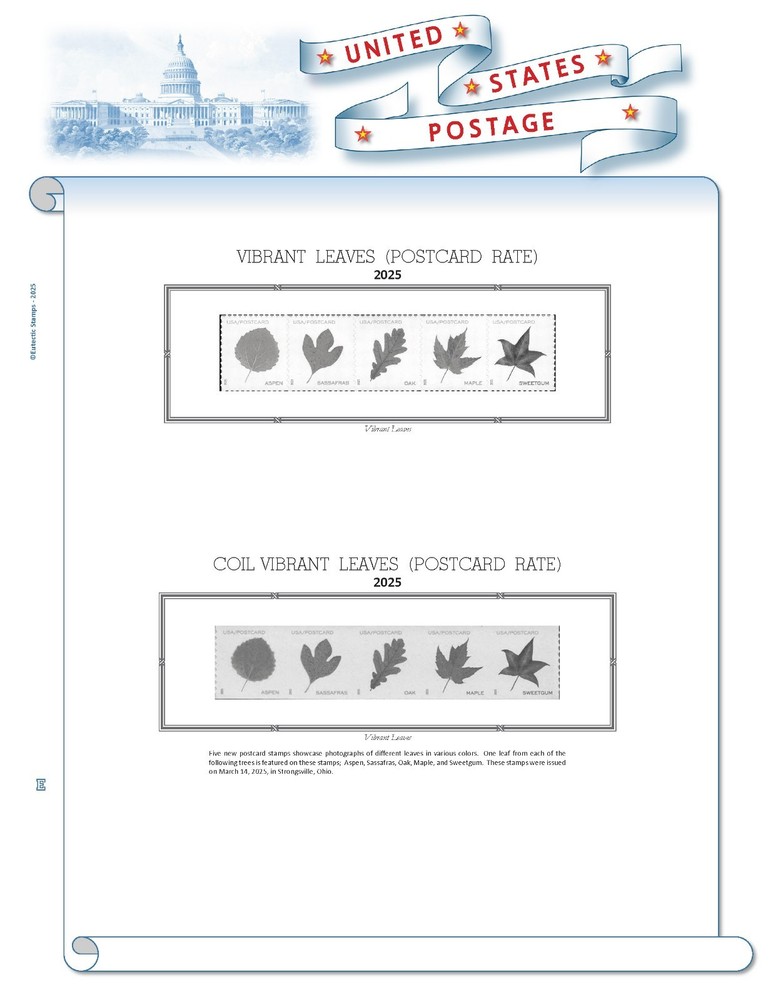 2025 U.S. Regular Issue Singles SIMPLIFIED Supplement (White Ace Alternative)