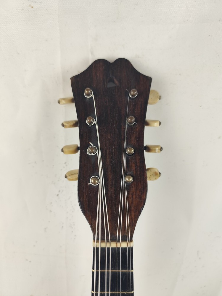 Mandolin 4/4 Renacchi 1900 Naples 曼陀林 만돌린マンドリン
