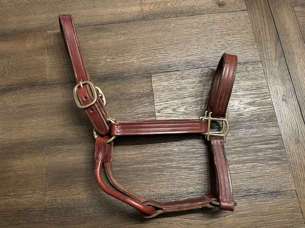 Horse Tack - Leather Track Halter