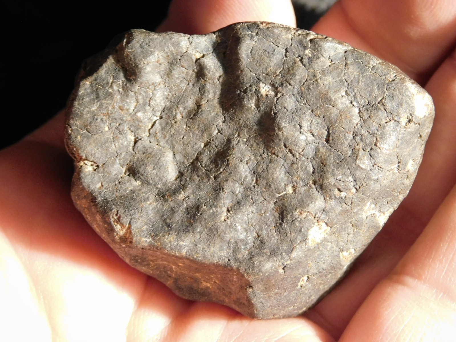 H6 Stony METEORITE Regmaglypts DARK Fusion Crust and Contraction CRACKS! 138gr