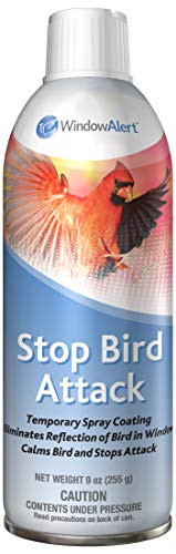 GC - Window Alert - Stop Bird Attack Spray