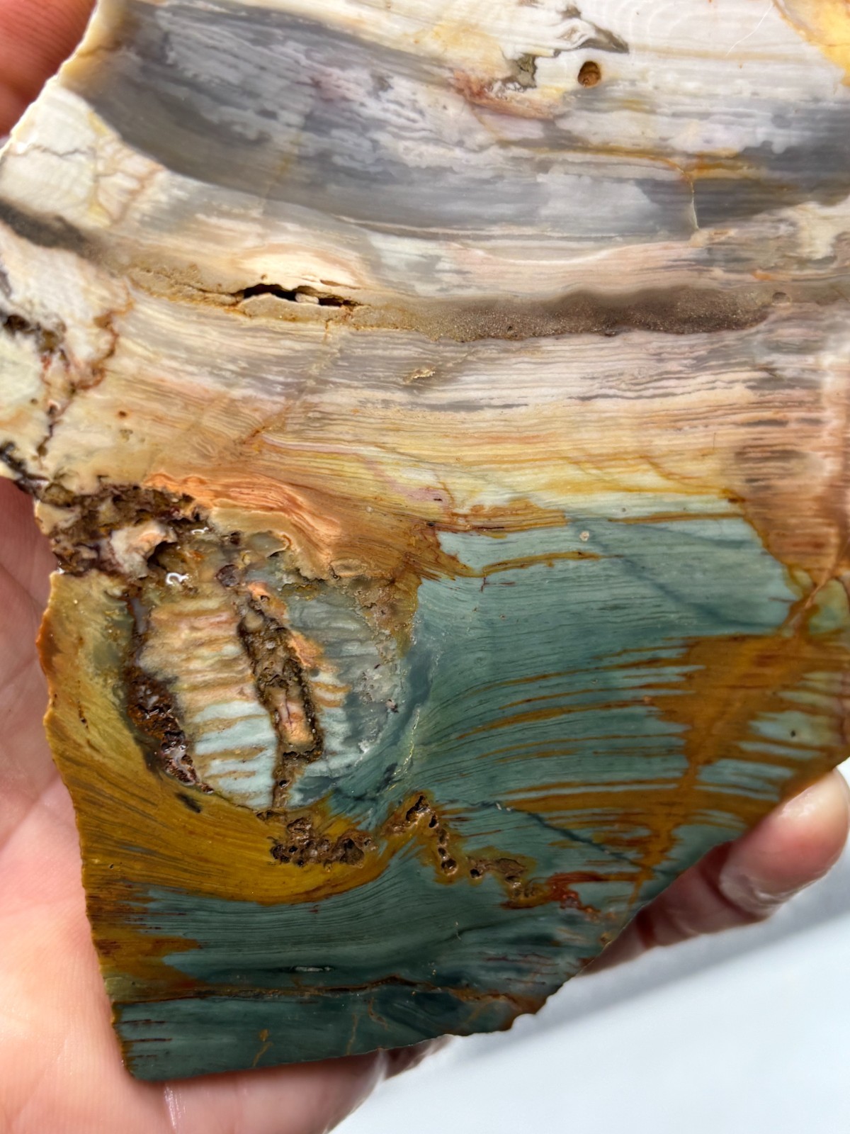 Gary Green Caldera Freedom Jasper Slab Cabbing Lapidary Combo Ship Avail