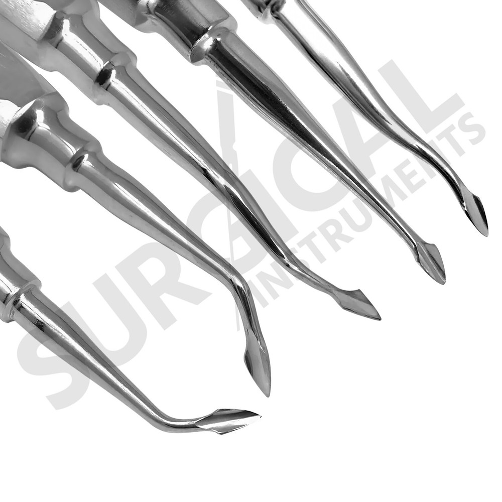 5 Pcs Bayonet Elevators Set Dental Extraction Instruments Stainless German Grade