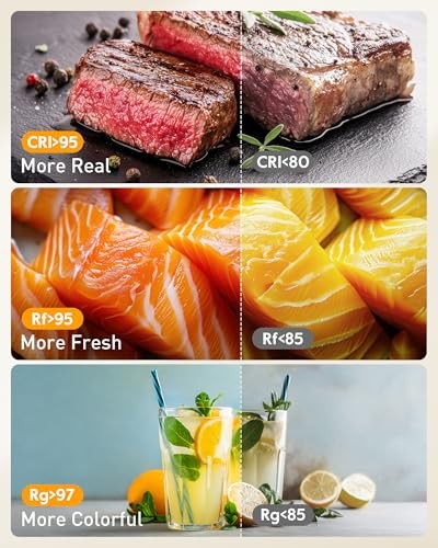 Ring Light with Stand for Desk,Adjustable Overhead Camera Mount with Ring 10"