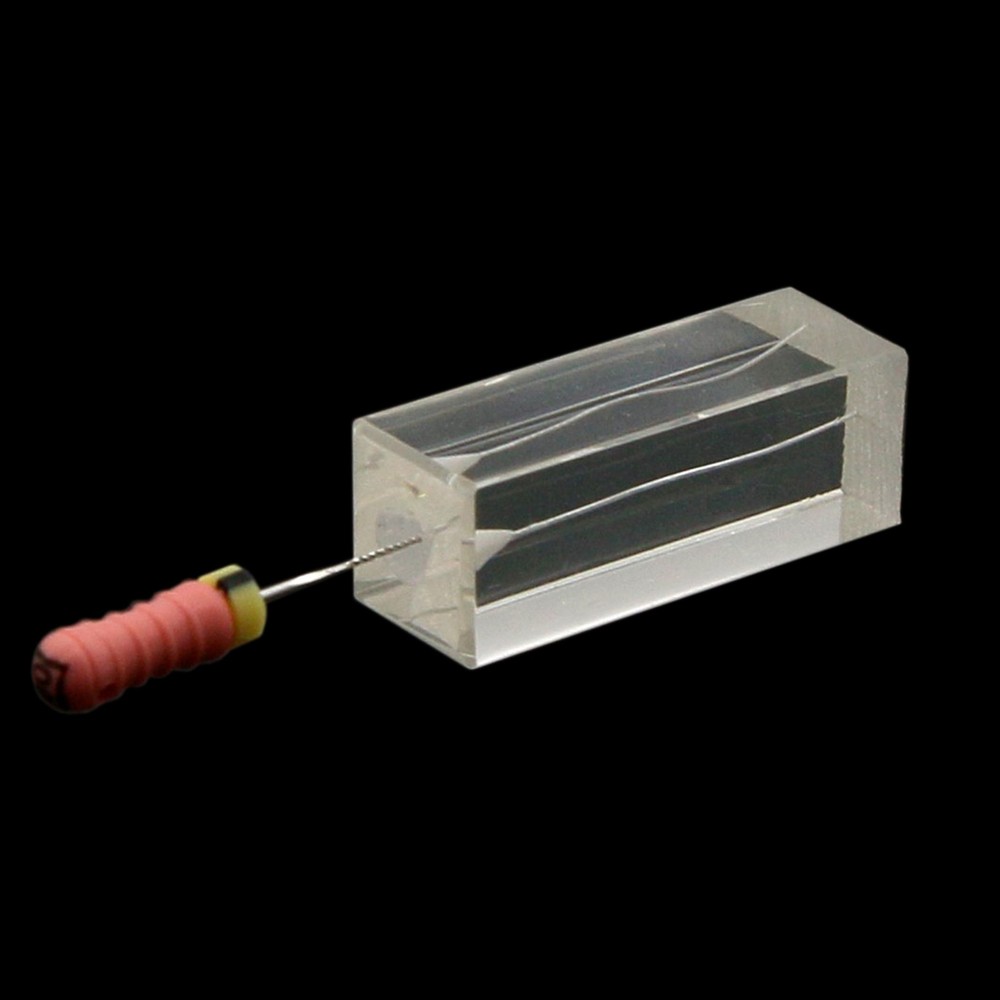 39 Sizes Dental Root Canal Teeth Study Model Practice Endo Rotary Files Study