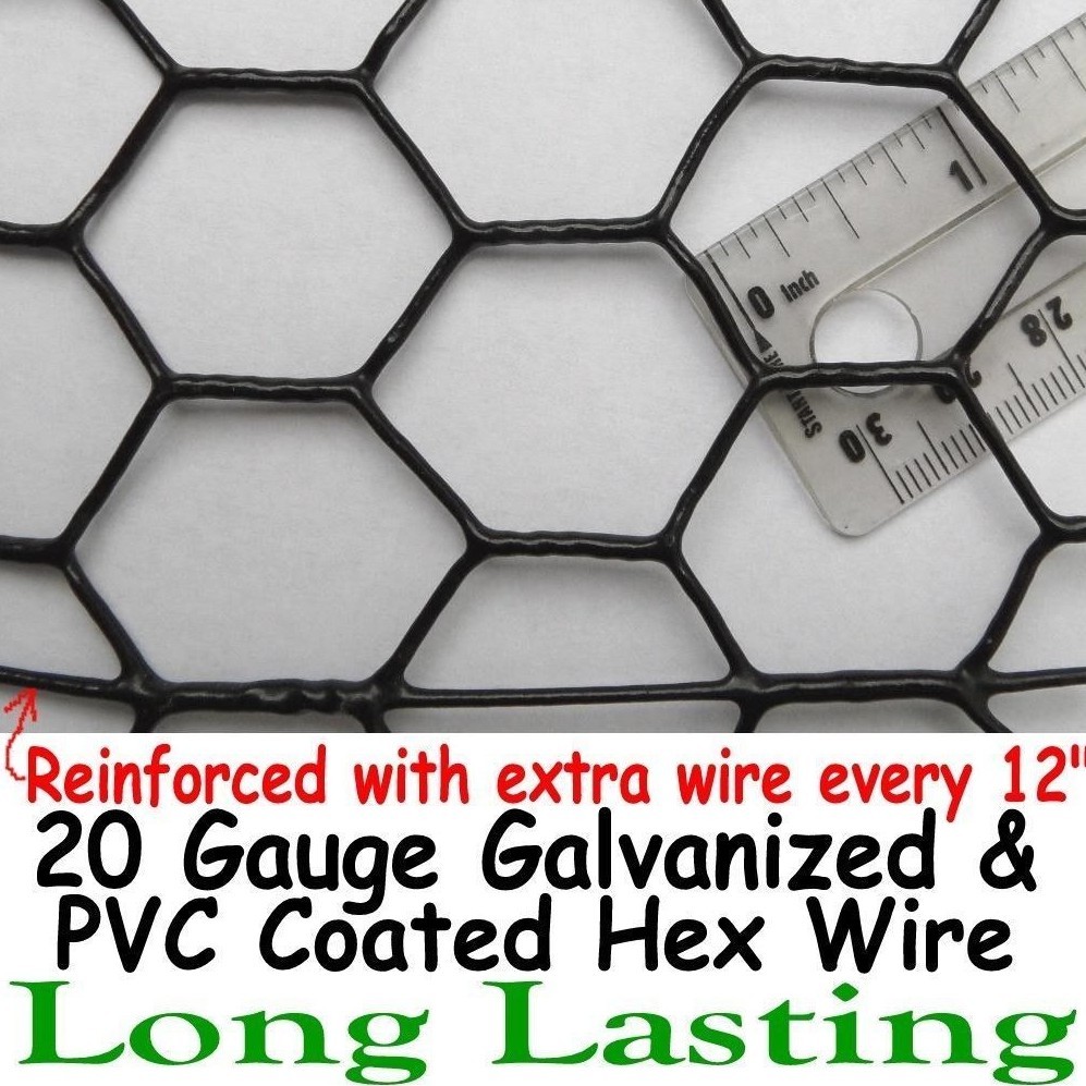 Chicken Wire Fence BLACK PVC Coated UV 1" Hex Poultry Aviary Bird Chicken Wire