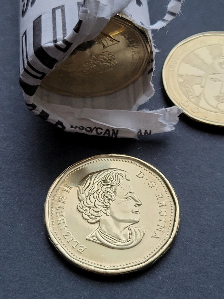 *** CANADA LOONIE 2019 *** EQUALITY *** FROM MINT ROLL ***