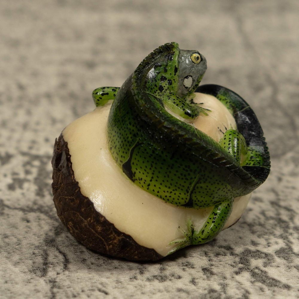 Iguana Lizard Reptile Tagua Carving