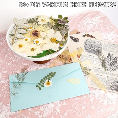 50Pcs Dried Pressed Flowers Real Pressed Flowers Natural Dry Leaves Bulk White
