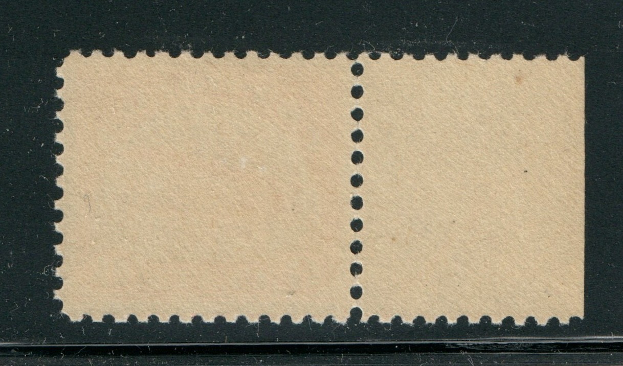 US Airmail Stamps SCOTT C1 Curtiss Jenny VF Margin Copy MNH