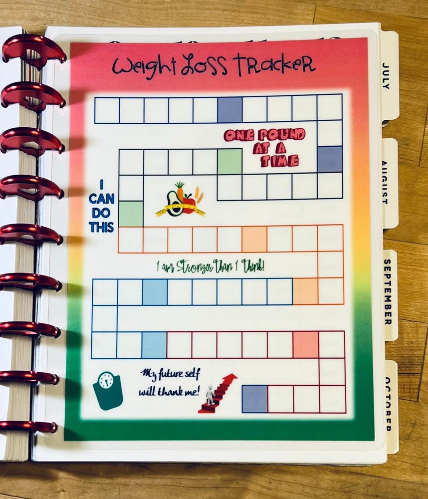 Weight Loss Tracker Diet Dashboard Insert for use with Classic HAPPY Planner~