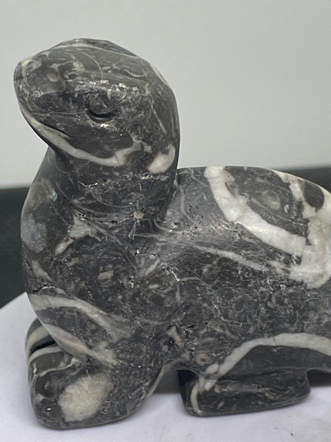 Othoceras Carved Dinos