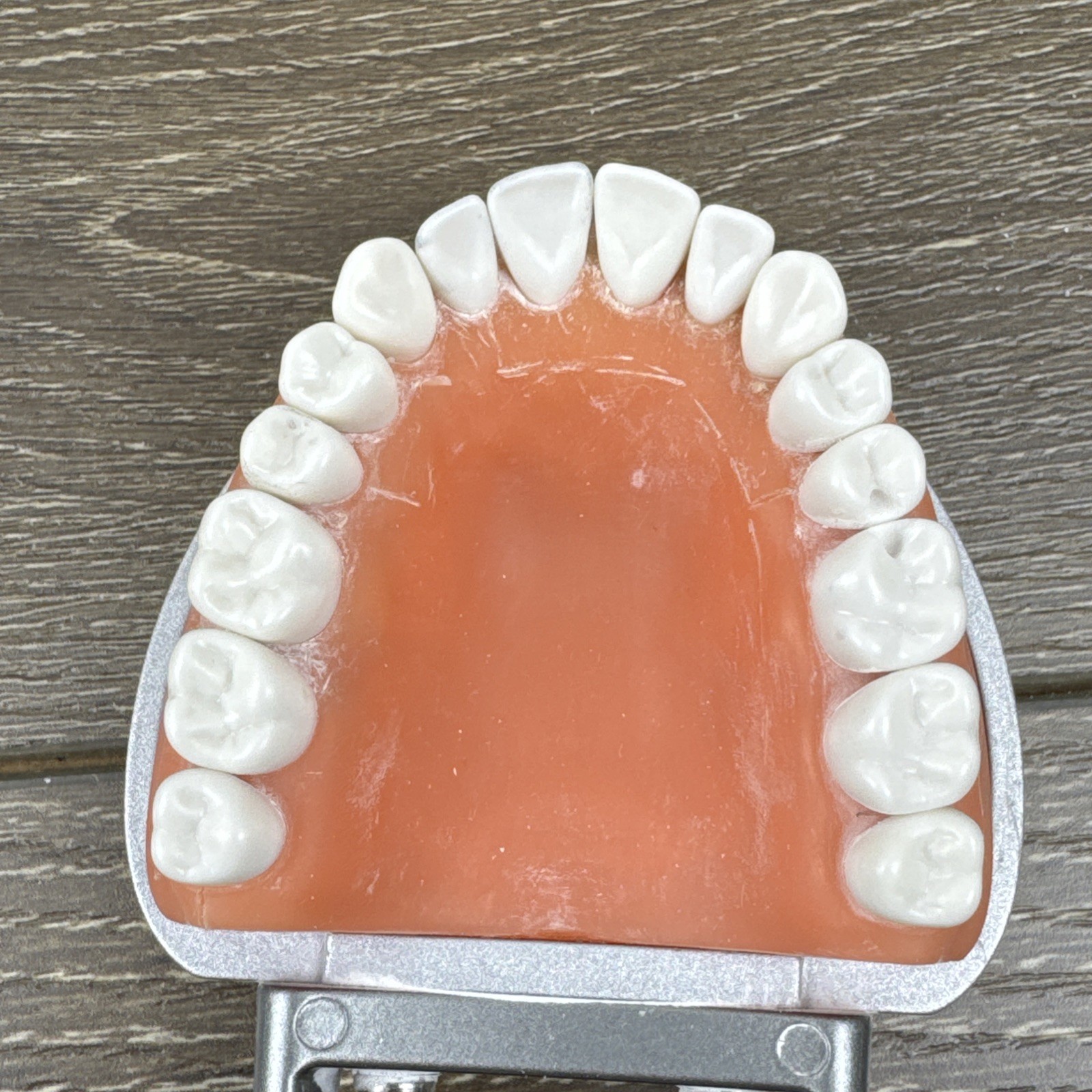 Acadental ModuPRO MP_R320 Restoration Typodont & Case WREB CDCA ADEX Teeth #54