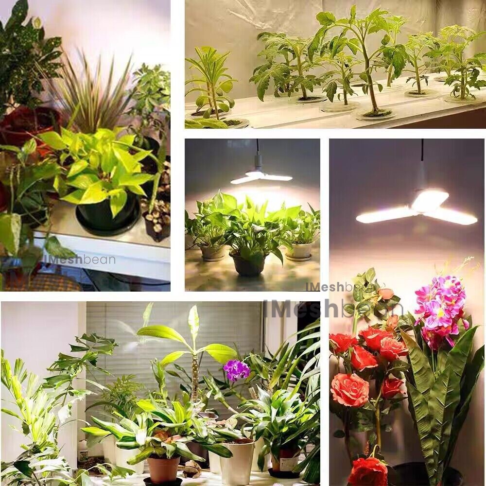 48"x48"x72" Complete Roof Grow Tent Kit w/LED Full Spectrum Grow Light+Air Filte