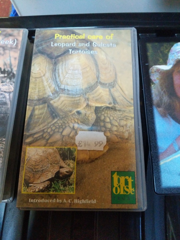 tortoise videos and mouse mat