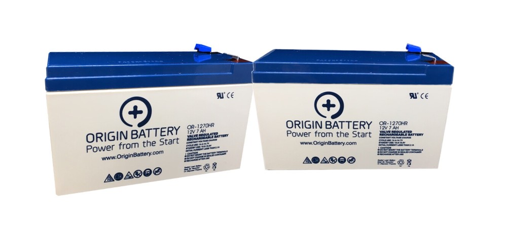 Liebert PowerSure InterActive PS700MT-230 UPS Battery Replacement