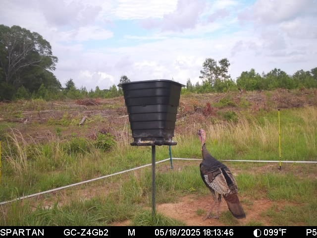 gravity deer feeder kit