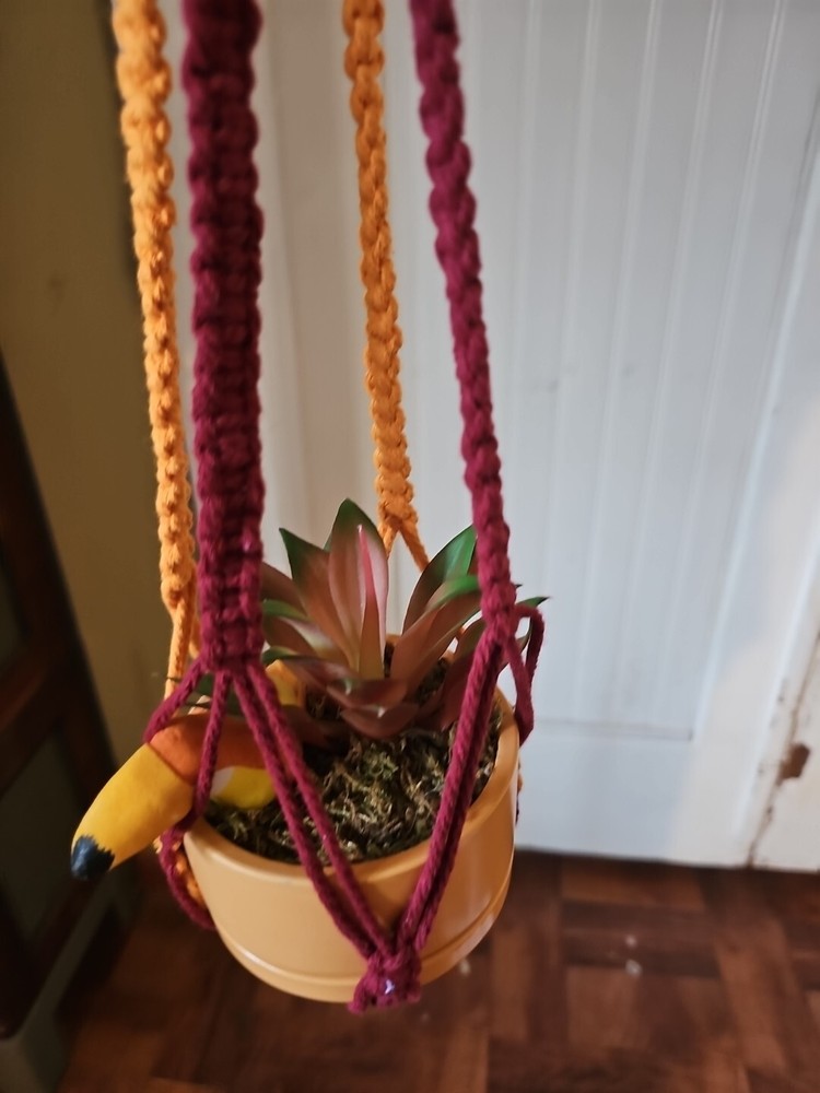 Macrame Plant Hanger