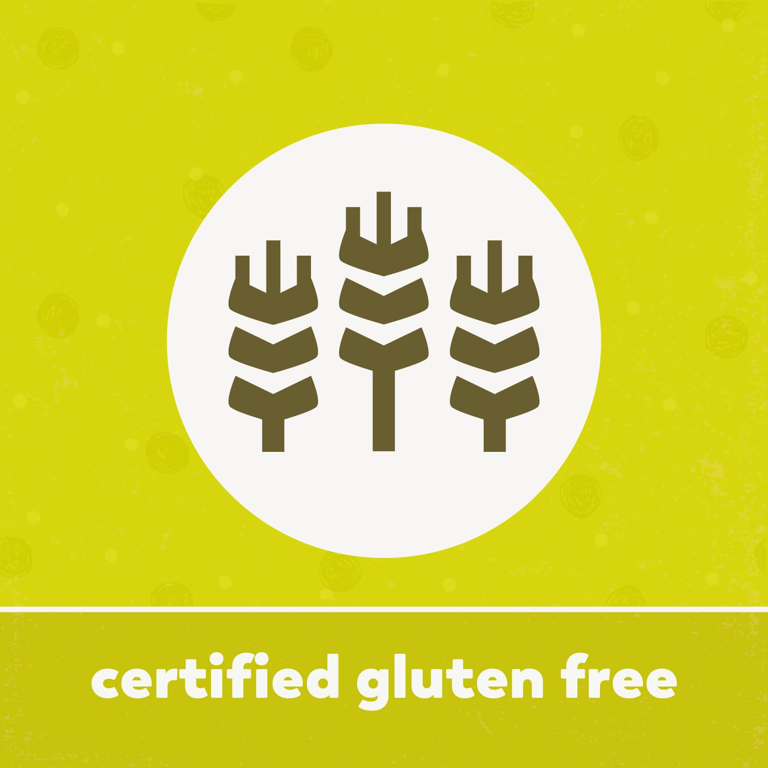 Yupik Organic Brazil Nuts, 2.2 Lb (35.2 Oz), Gluten-Free, Vegan, Kosher, Non-Gmo