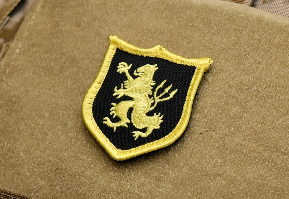 Mini DEVGRU Gold Squadron Lion Patch NSWDG SEAL Team 6 Zero Dark Thirty
