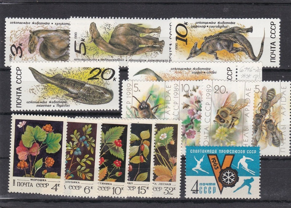 Russia Mint Never Hinged Stamps Ref 26243