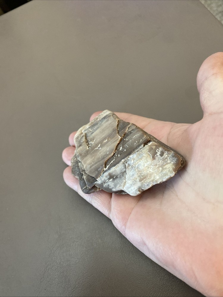 Petrified Wood