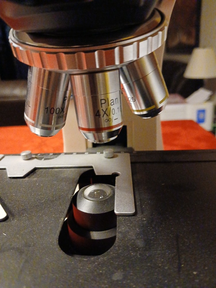 Seiler Microlux IV LED Compound Microscope With 5- Objectives