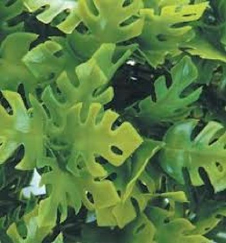 FoG Models Plastic Jungle Plant #3 Pack contains 4 stems 1/35 scale