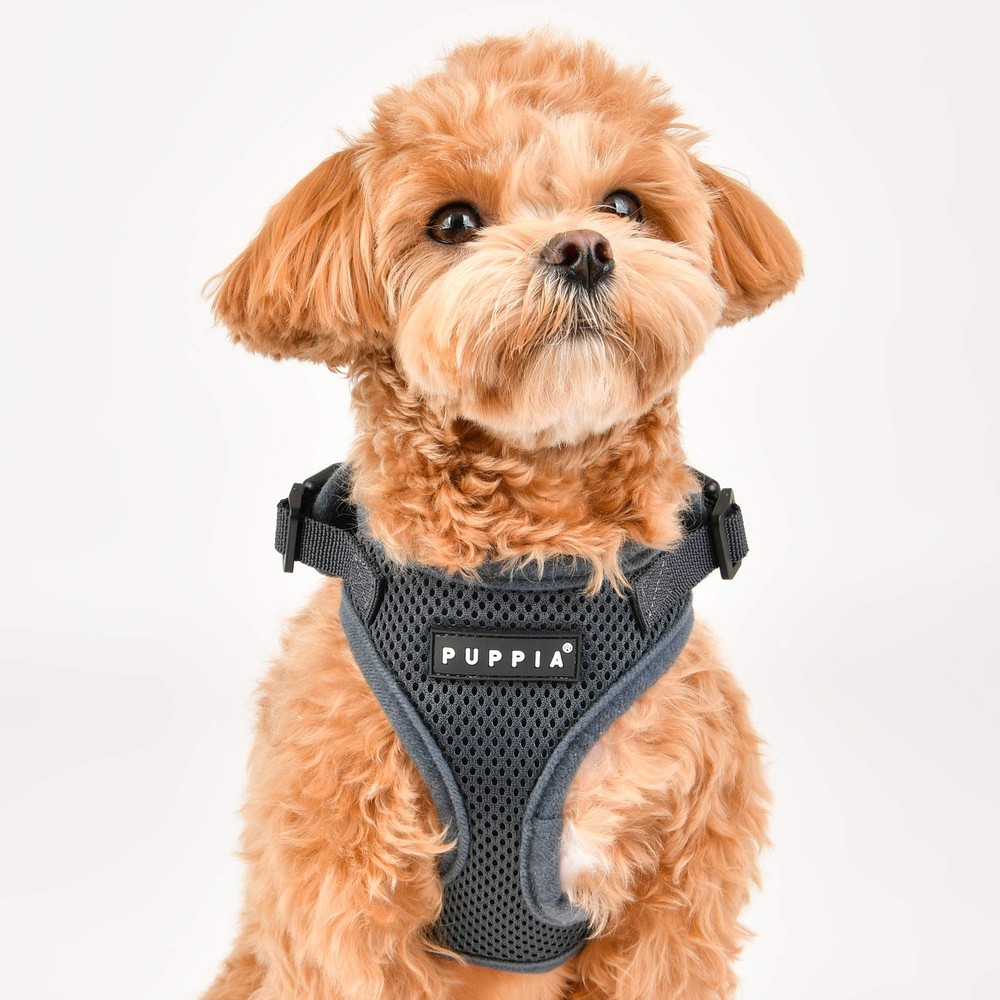 Beige Small Authentic RiteFit Dog Harness Adjustable Neck Walking Training