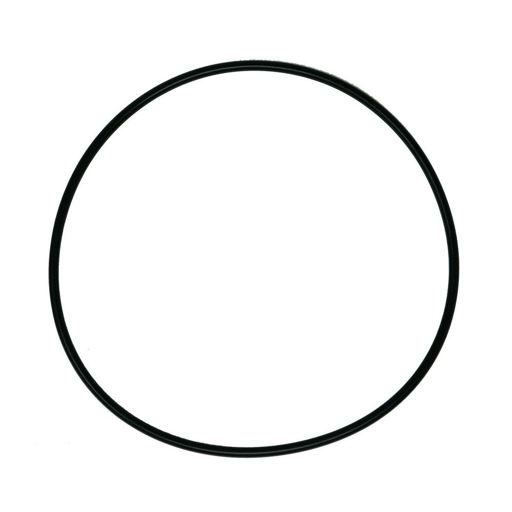 Genuine OEM Western 66519 O-Ring