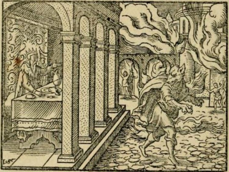 Werewolf spell, transform into werewolf, transformation spell, and immortality.