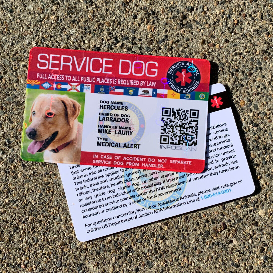 SERVICE DOG ID CARD FOR SERVICE ANIMAL PROFESSIONAL ADA  HOLOGRAPHIC