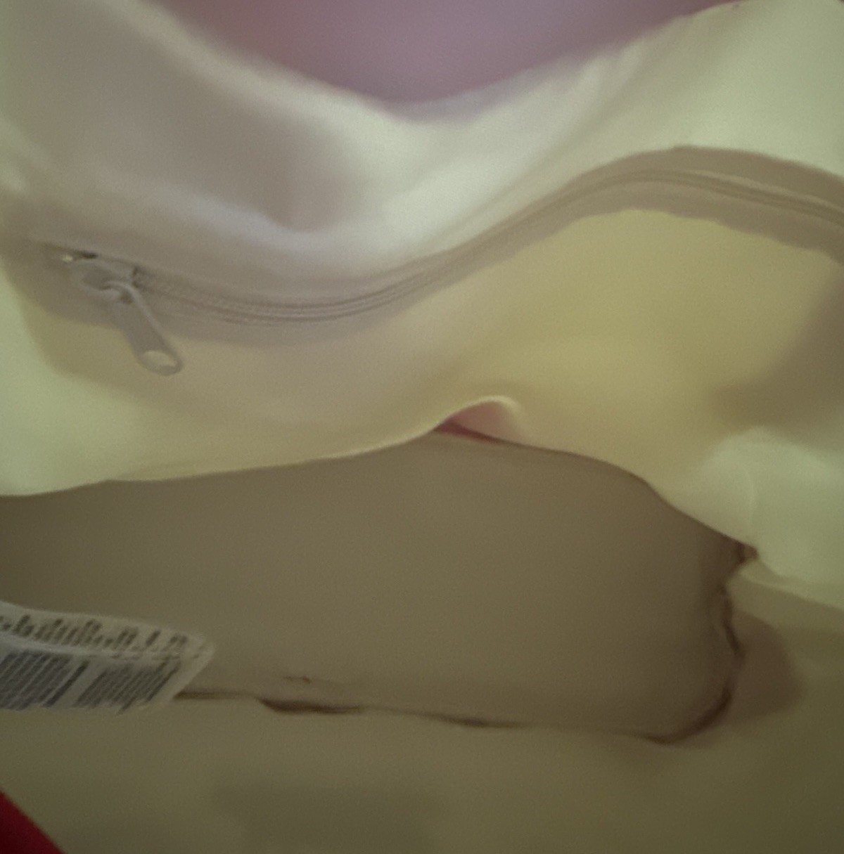 Disney Mickey and Minnie Mouse Happy Holidays Walt Disney World Tote Bag New