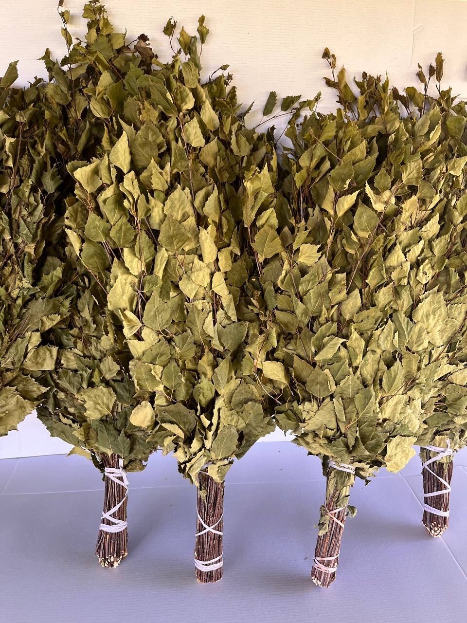 24 Birch brooms NEW SEASON 2025 sauna banya venik Eiche whisks eco Ukrainian