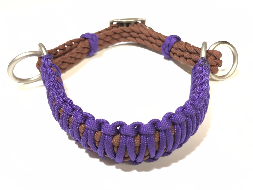 side pull hackamore attachment with a whoa neon purple