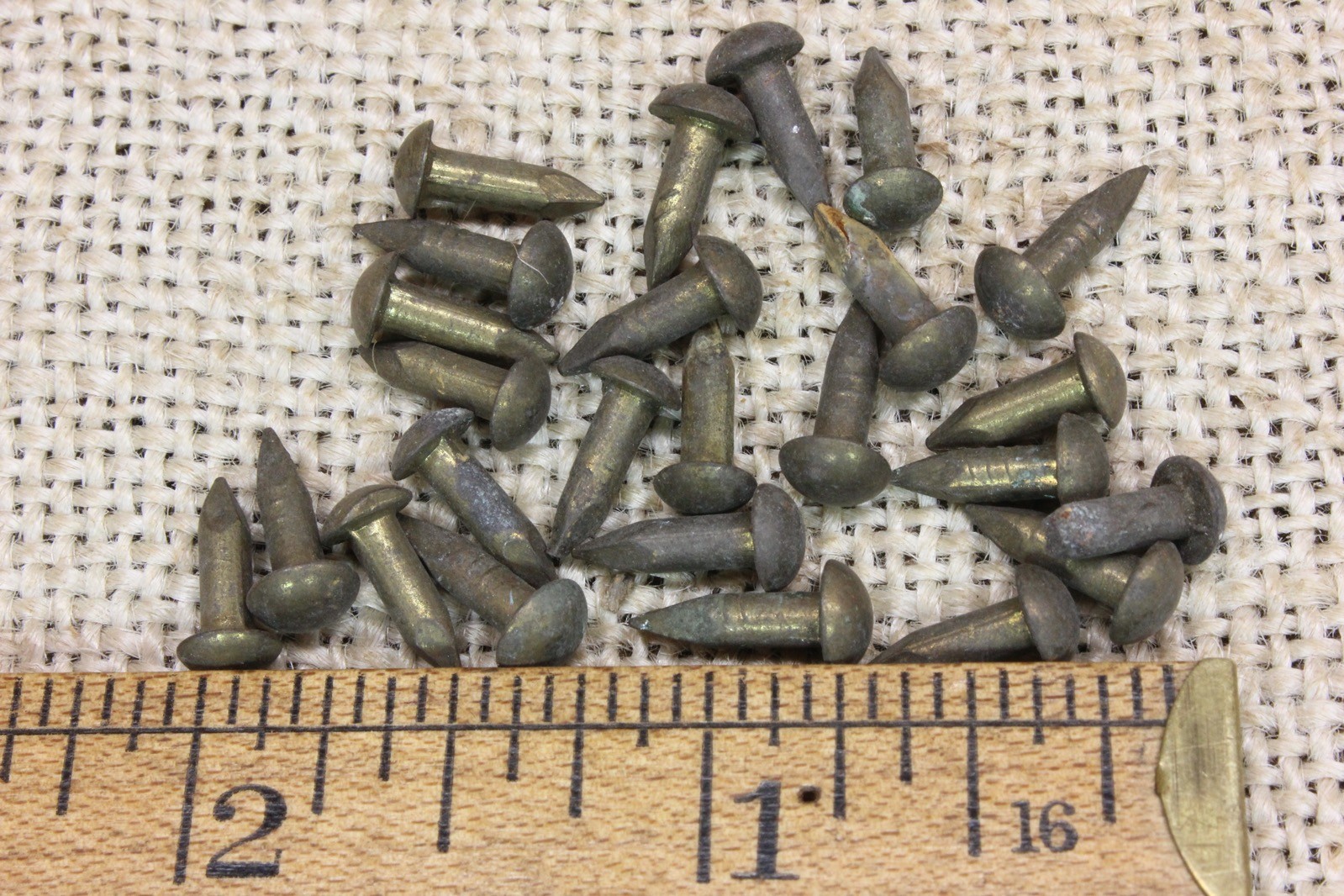 1/2” Old Brass 25 Nails Tarnished Escutcheon Pins Vintage 1/4” Domed Heads 13 Ga