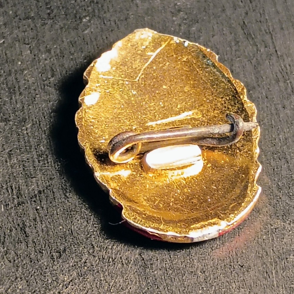 Vintage USSR DOSAAF Badge - Soviet Paramilitary "ДОСААФ СССР"