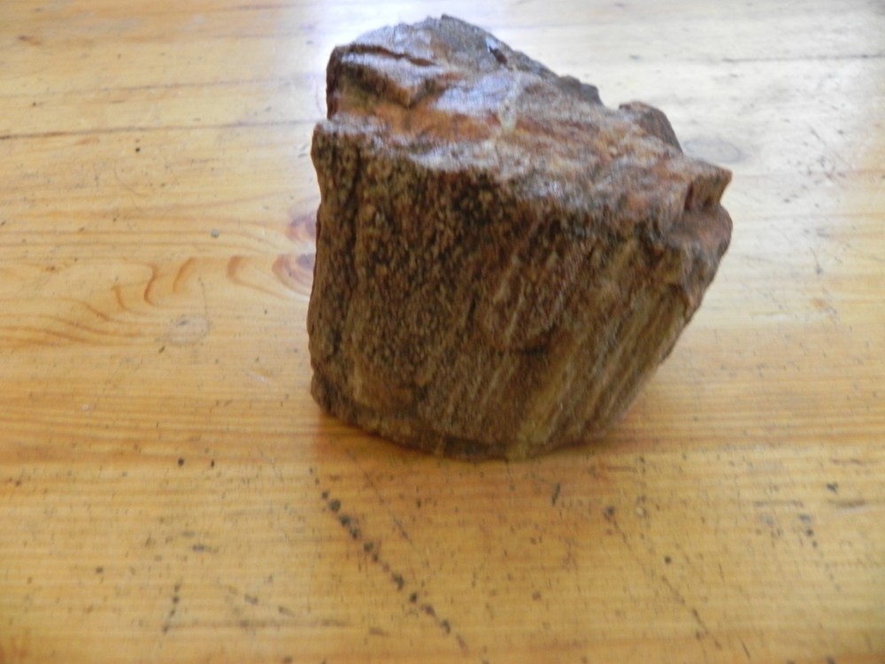 Petrified wood 2.4 pounds