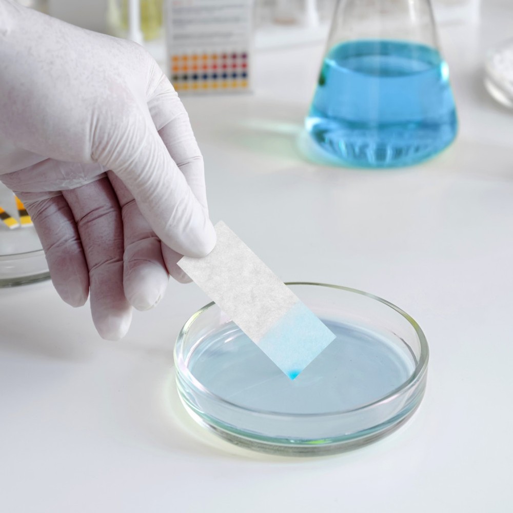 200 Pcs Filter Paper Absorbent Sheet Blotter for Science Chromatography